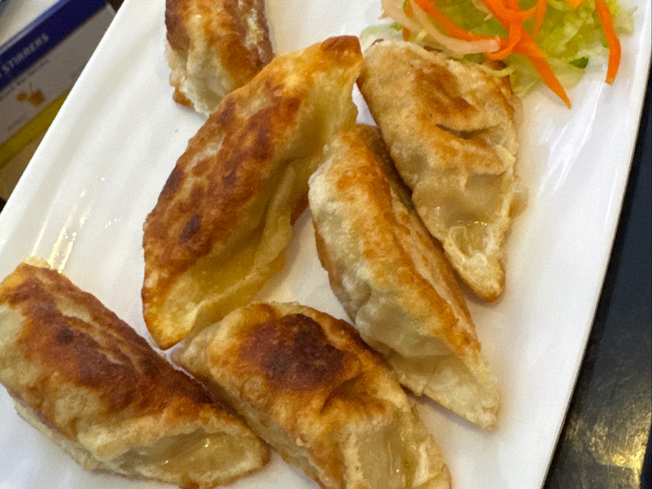 E6. Pork Dumplings (7)