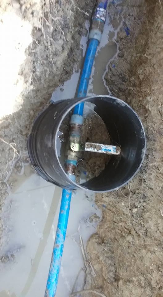 Biff's Plumbing Gurus Logo