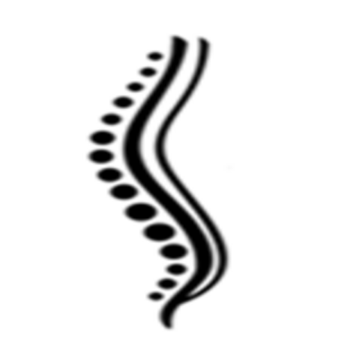 Pennsauken Spine and Rehab