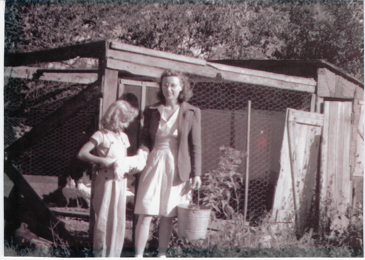 COMFORT CUISINE EXPRESS Image