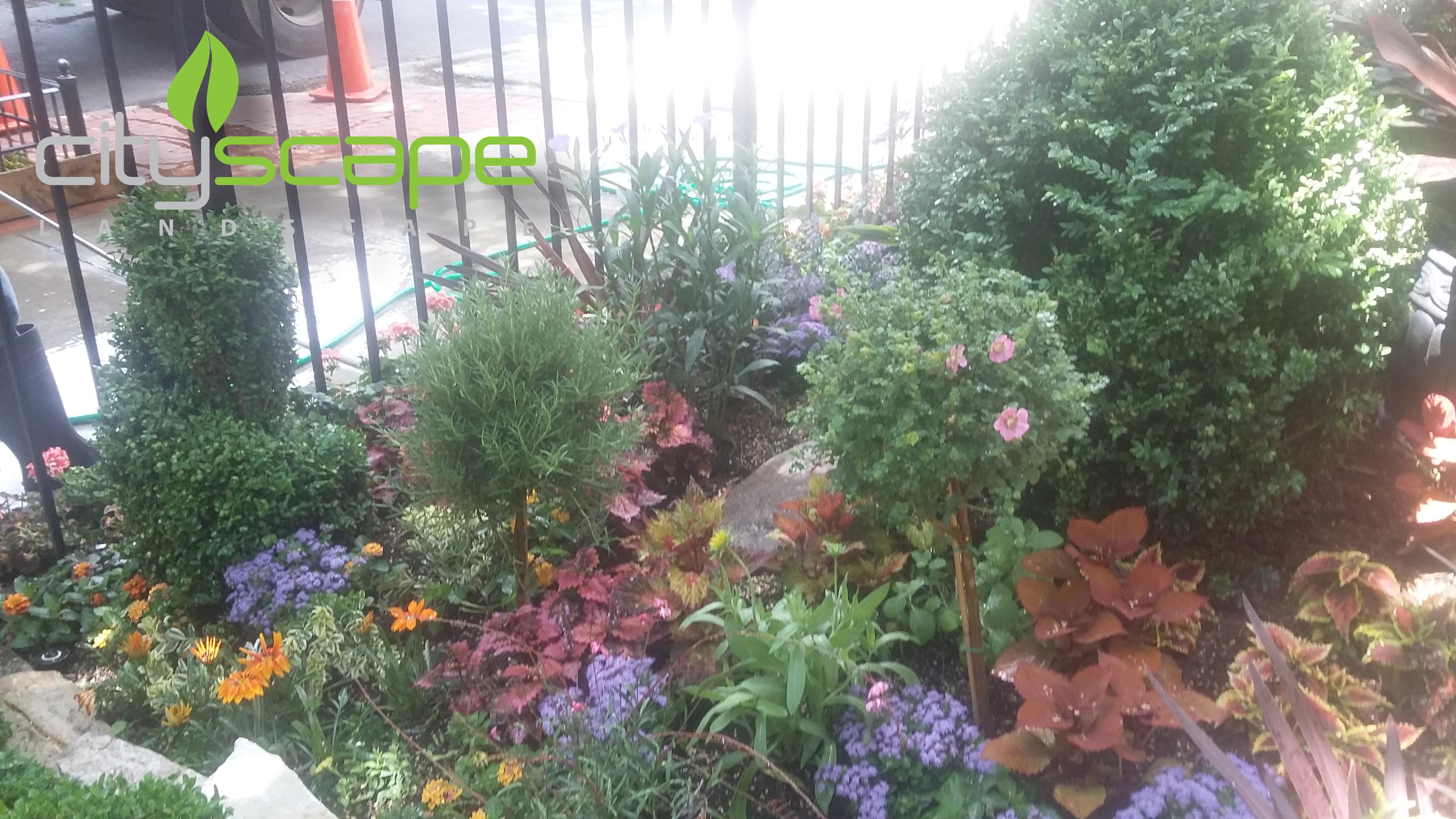 Cityscape Landscape Image