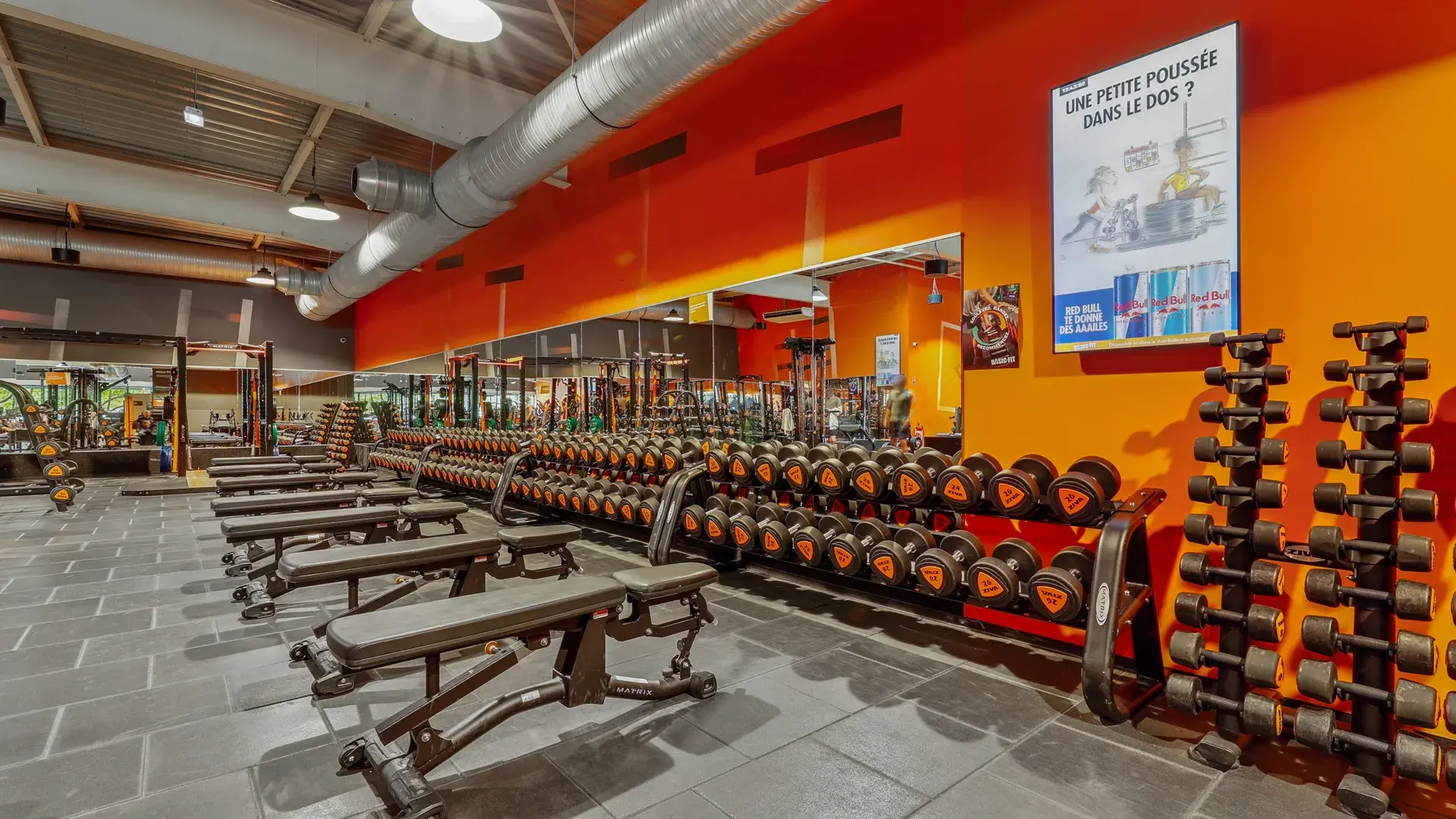 Miniature de la galerie