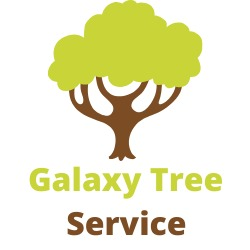Galaxy Tree Service Logo