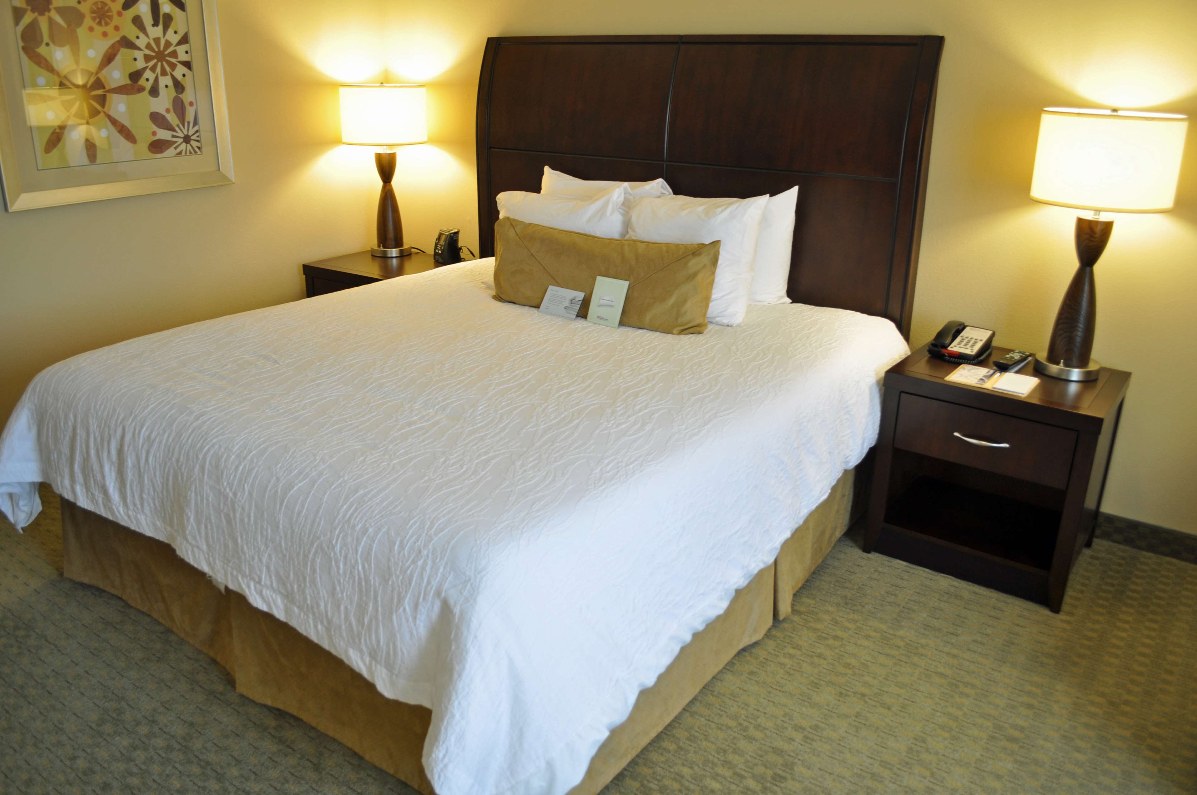 Hilton Garden Inn Tifton Photo