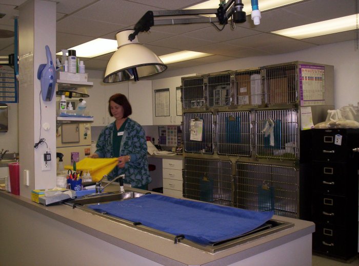 Images VCA Farmington Hills Animal Hospital