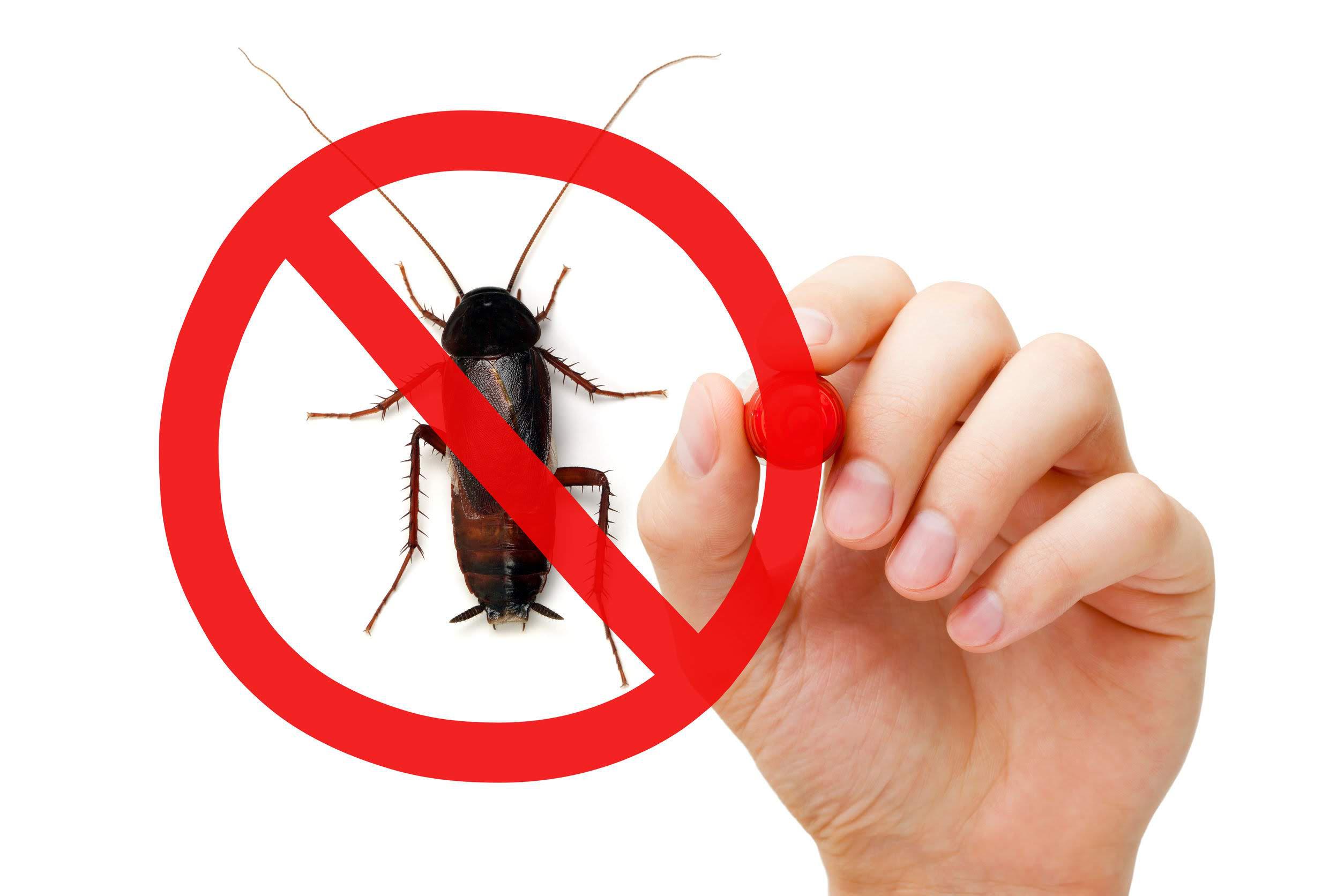 Precision Exterminating Services, Inc.