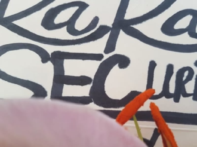 Images KaKa SECurity