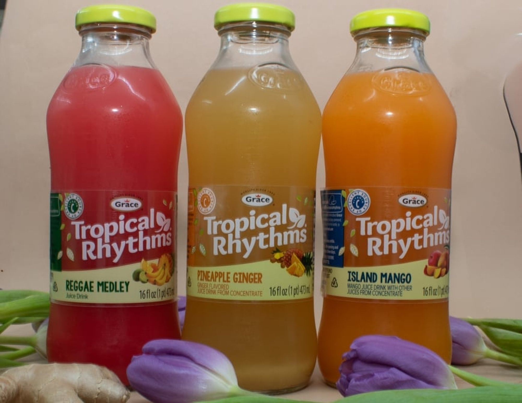 Tropical Rhythm