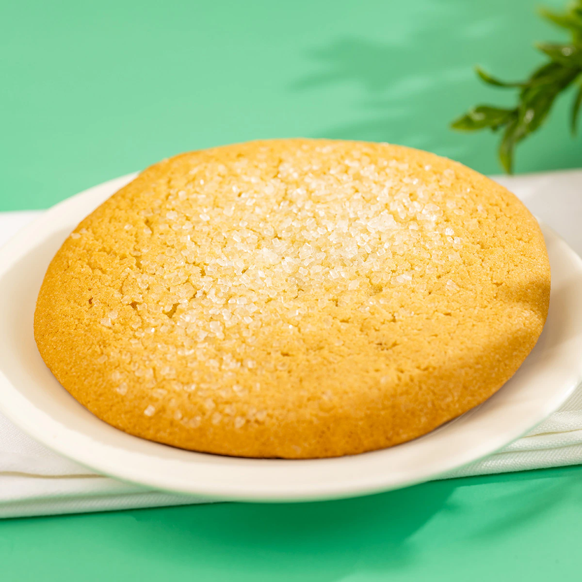Sugar Cookie