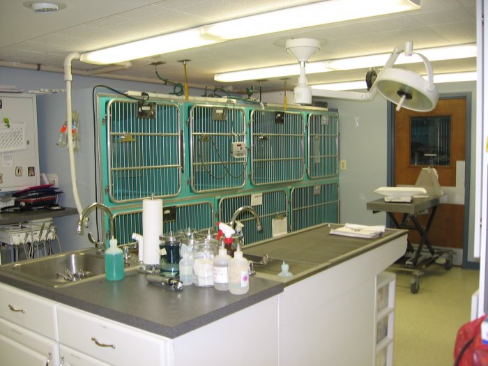 VCA Cheshire Animal Hospital Photo