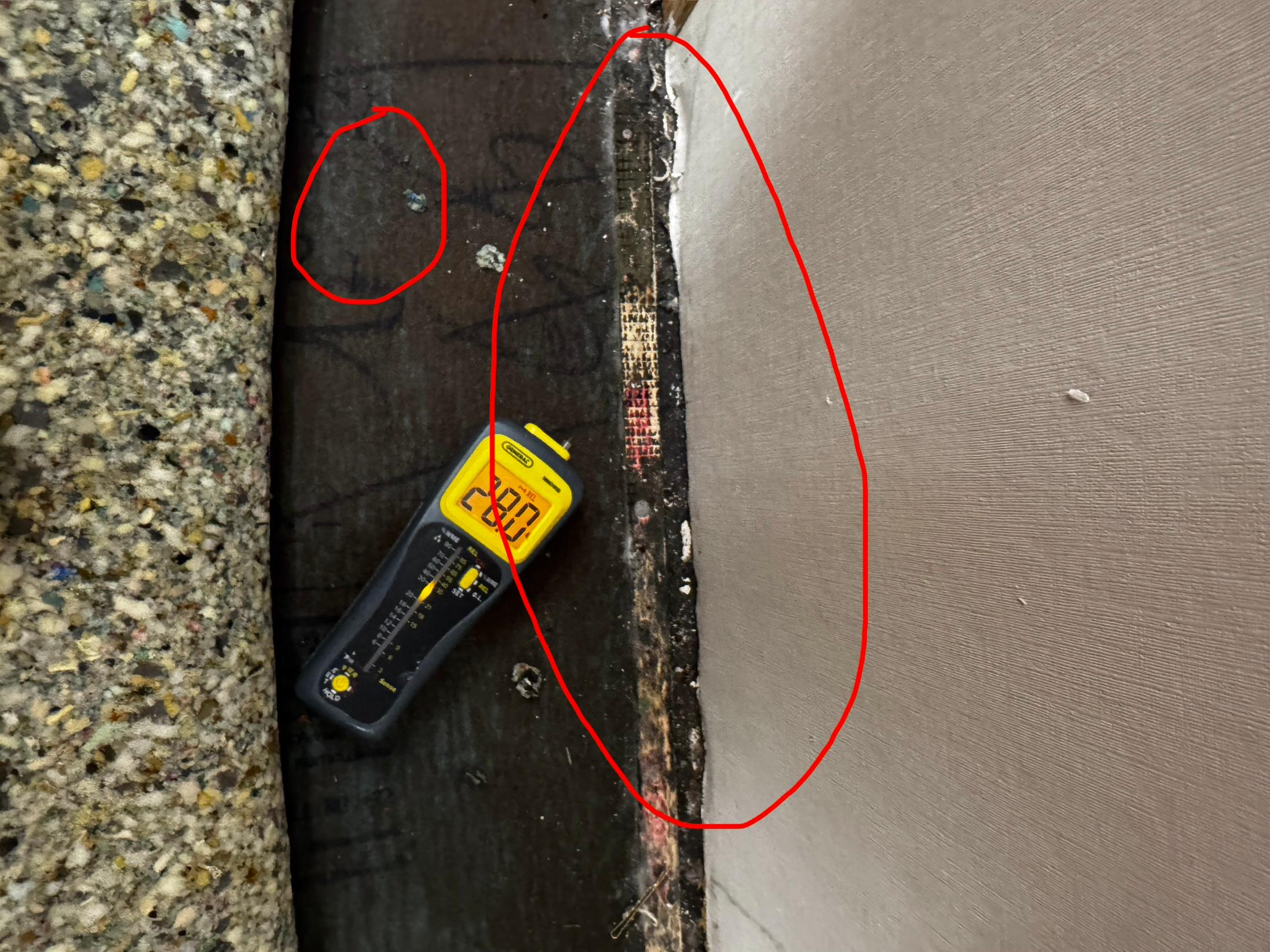 Mold Remediation | Steam Care Inc
