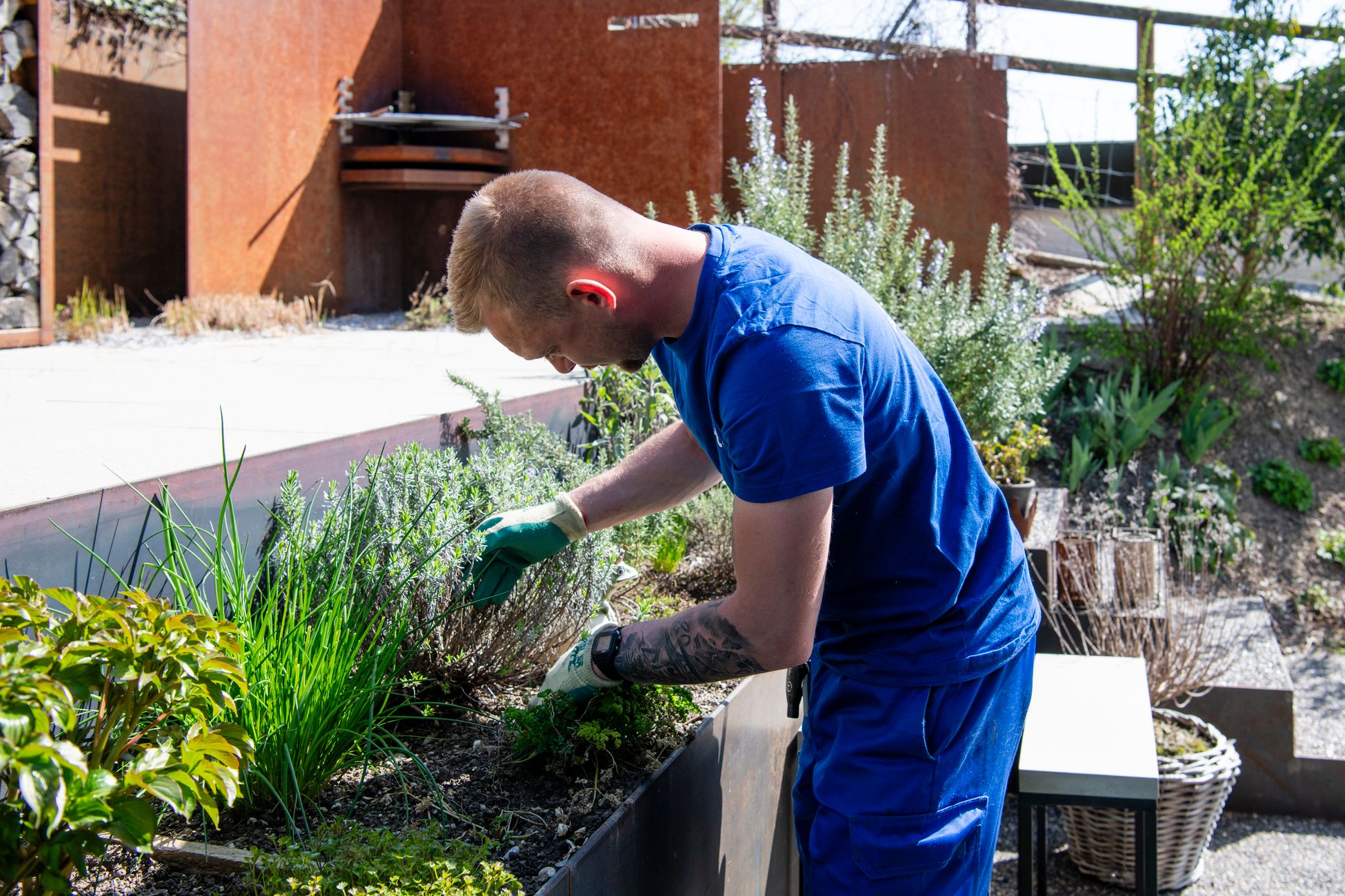 Gartenpflege