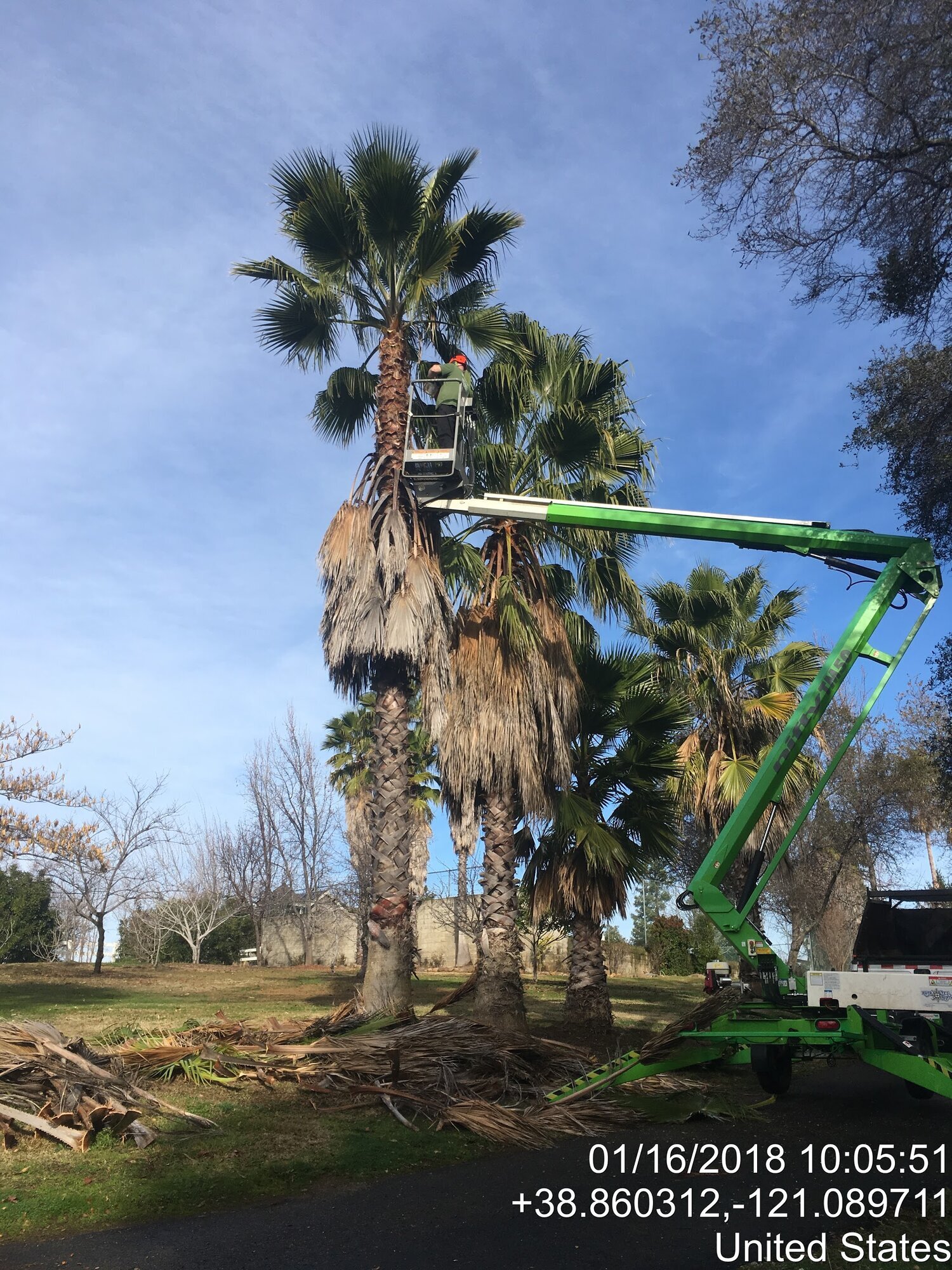 Brandon Tree Care Image