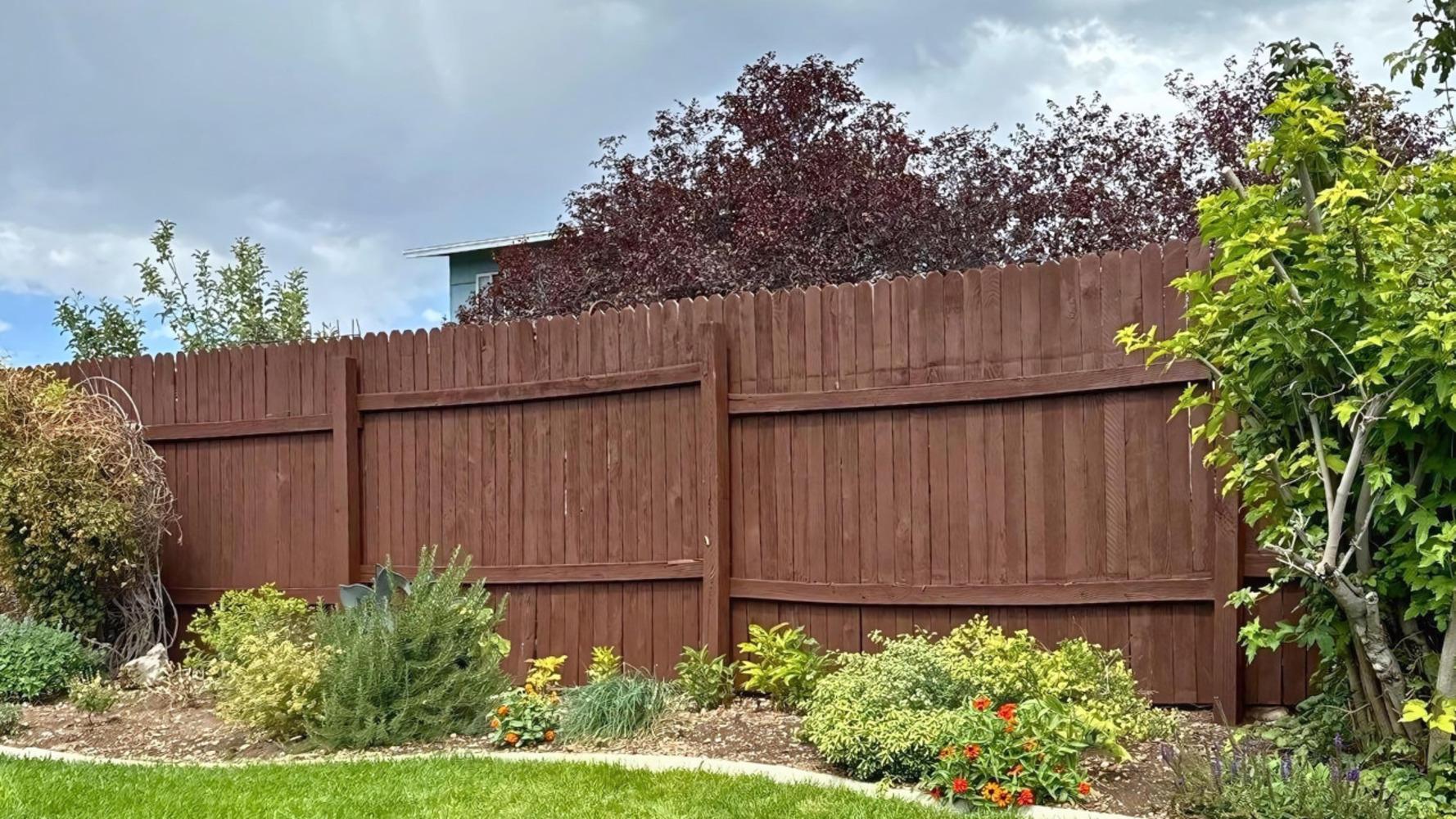 SwiftHand Painting Image