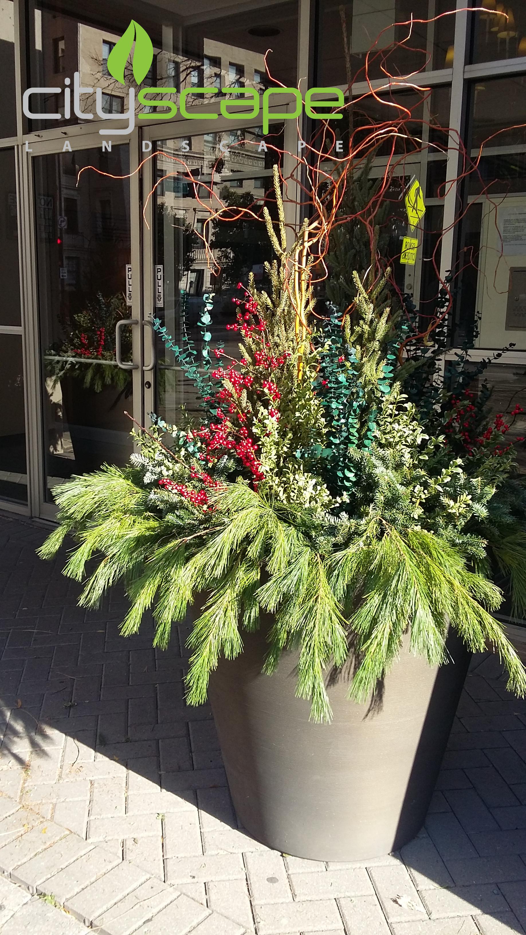 Cityscape Landscape Image