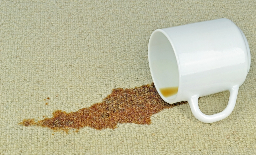 Spotacular Carpet Cleaning Image
