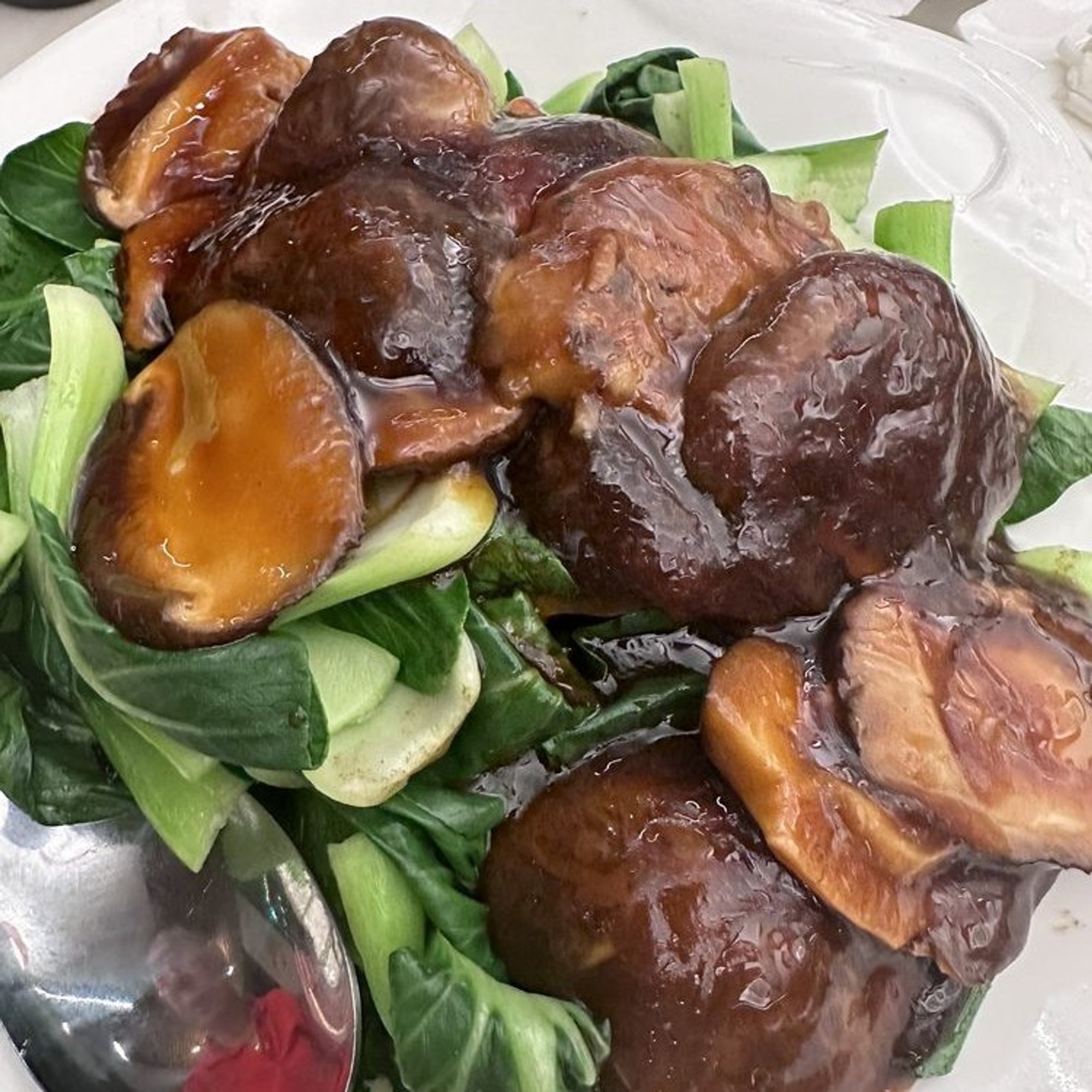 冬菇白菜 Black Mushroom with Baby Bok Choy