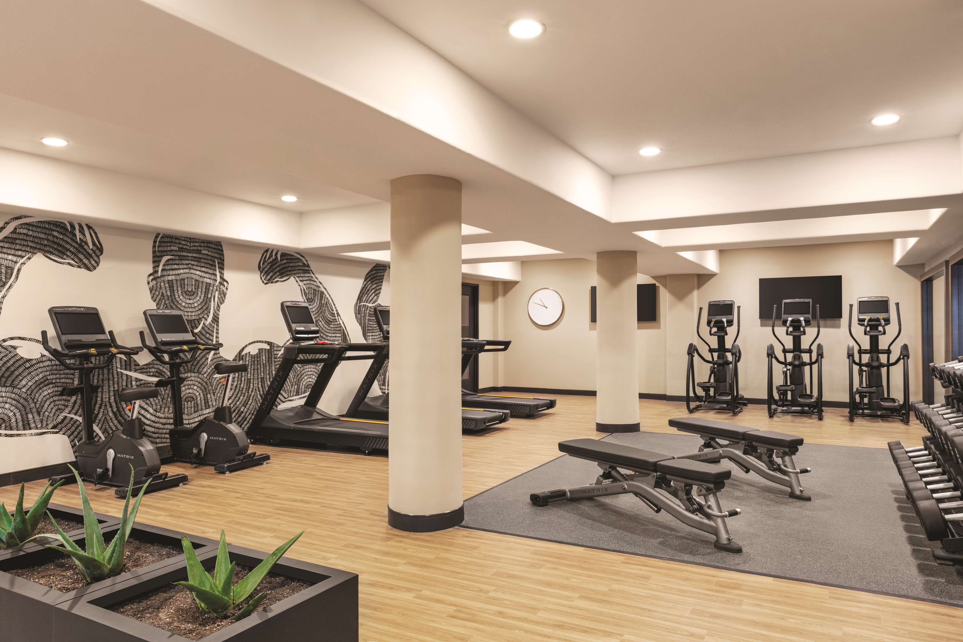 Health club  fitness center  gym