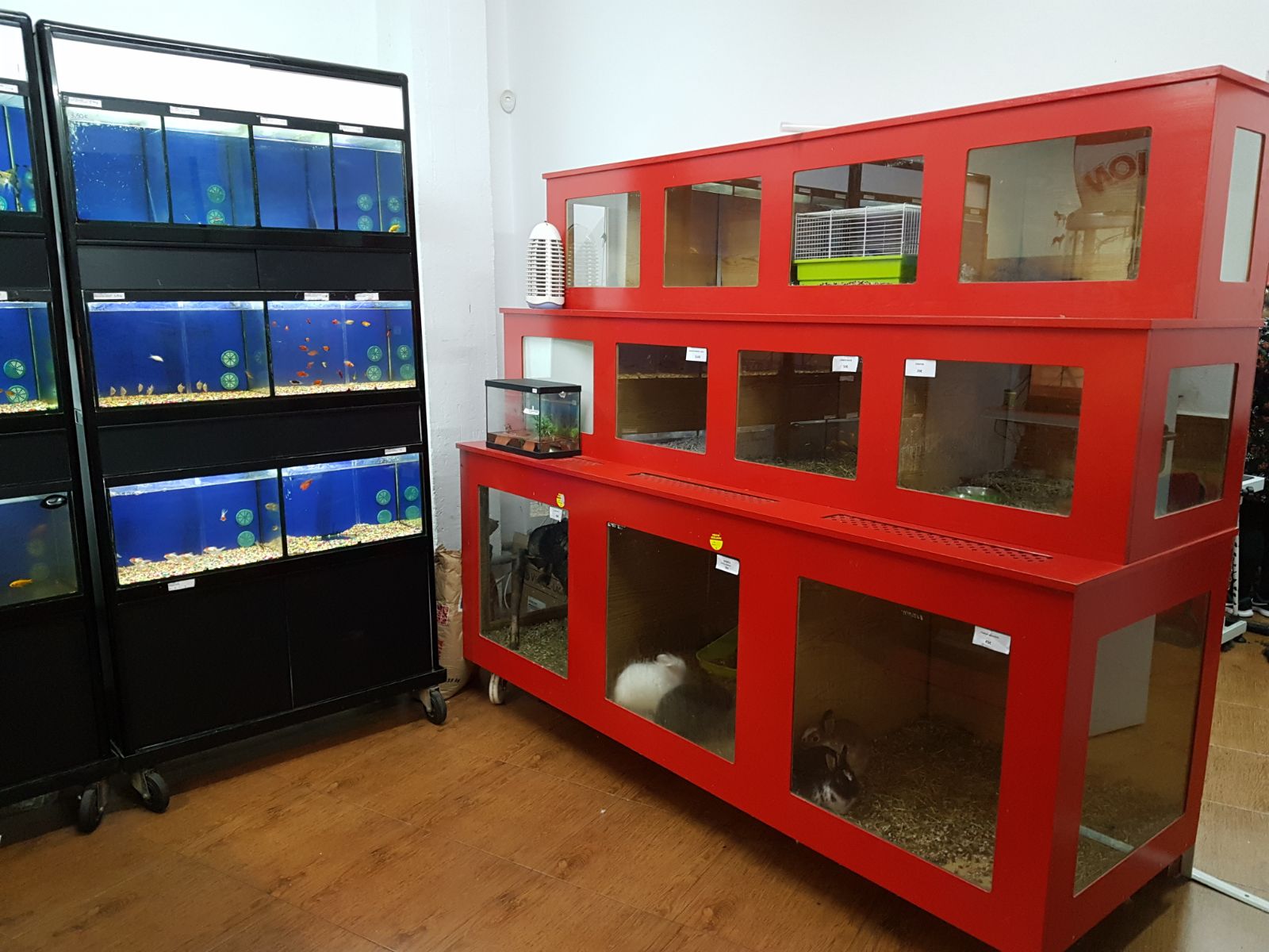 Galería en miniatura