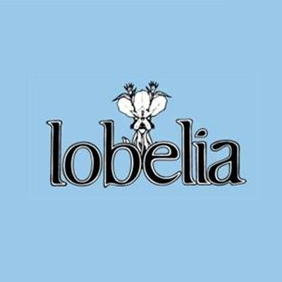 Lobelia