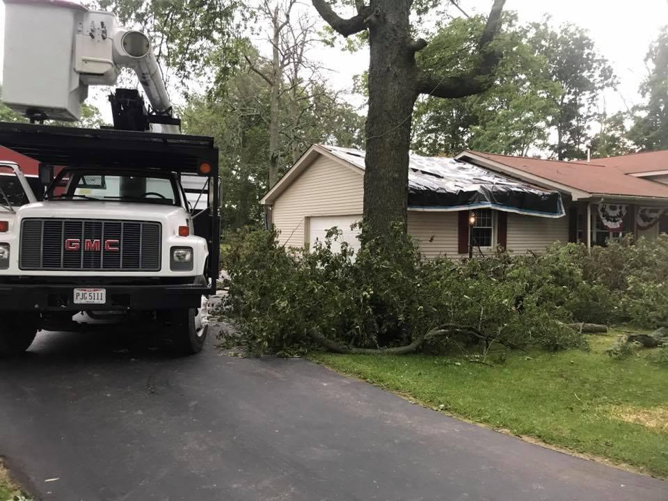Hackney Tree Service Image