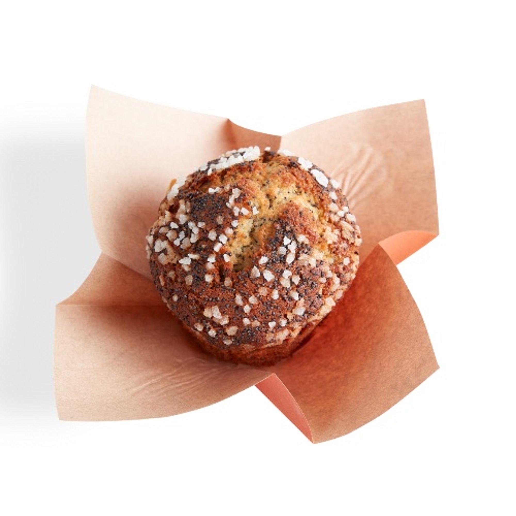 Lemon Poppy Muffin