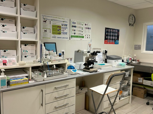 Galería en miniatura