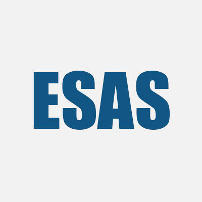 EcoSteam Auto Salon Logo