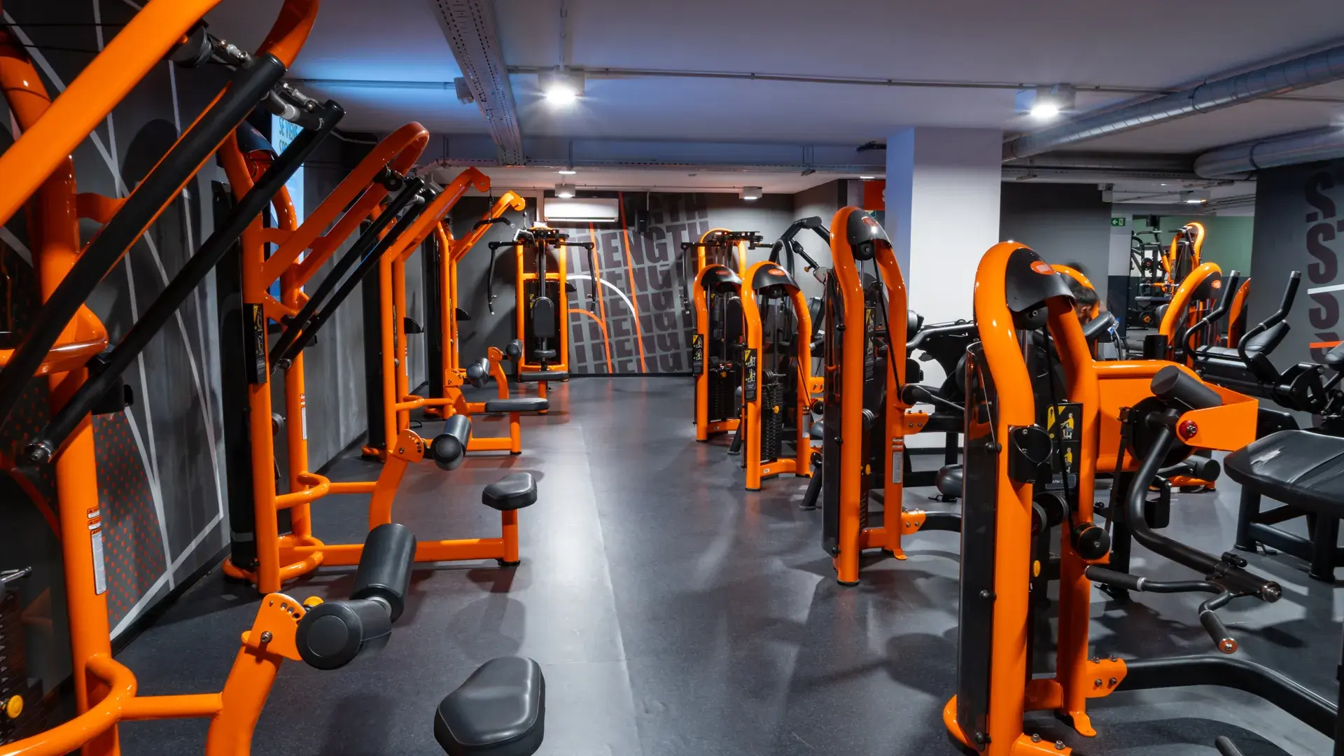 Galería de imágenes