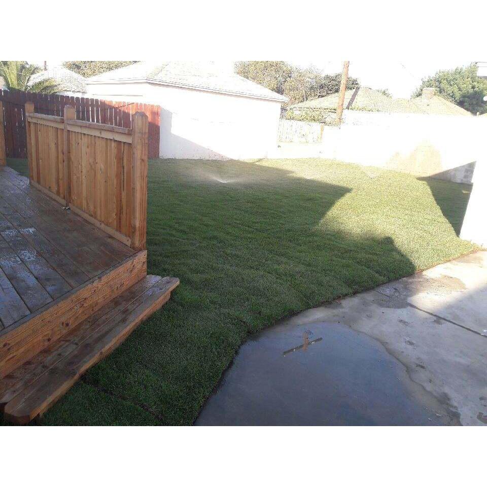 MC Tree Service Logo