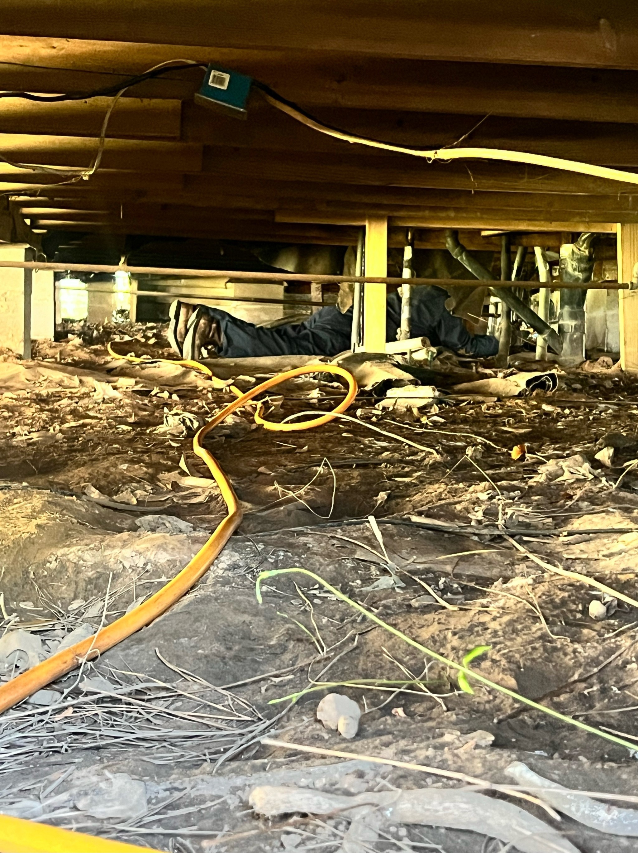 Termite Treatments