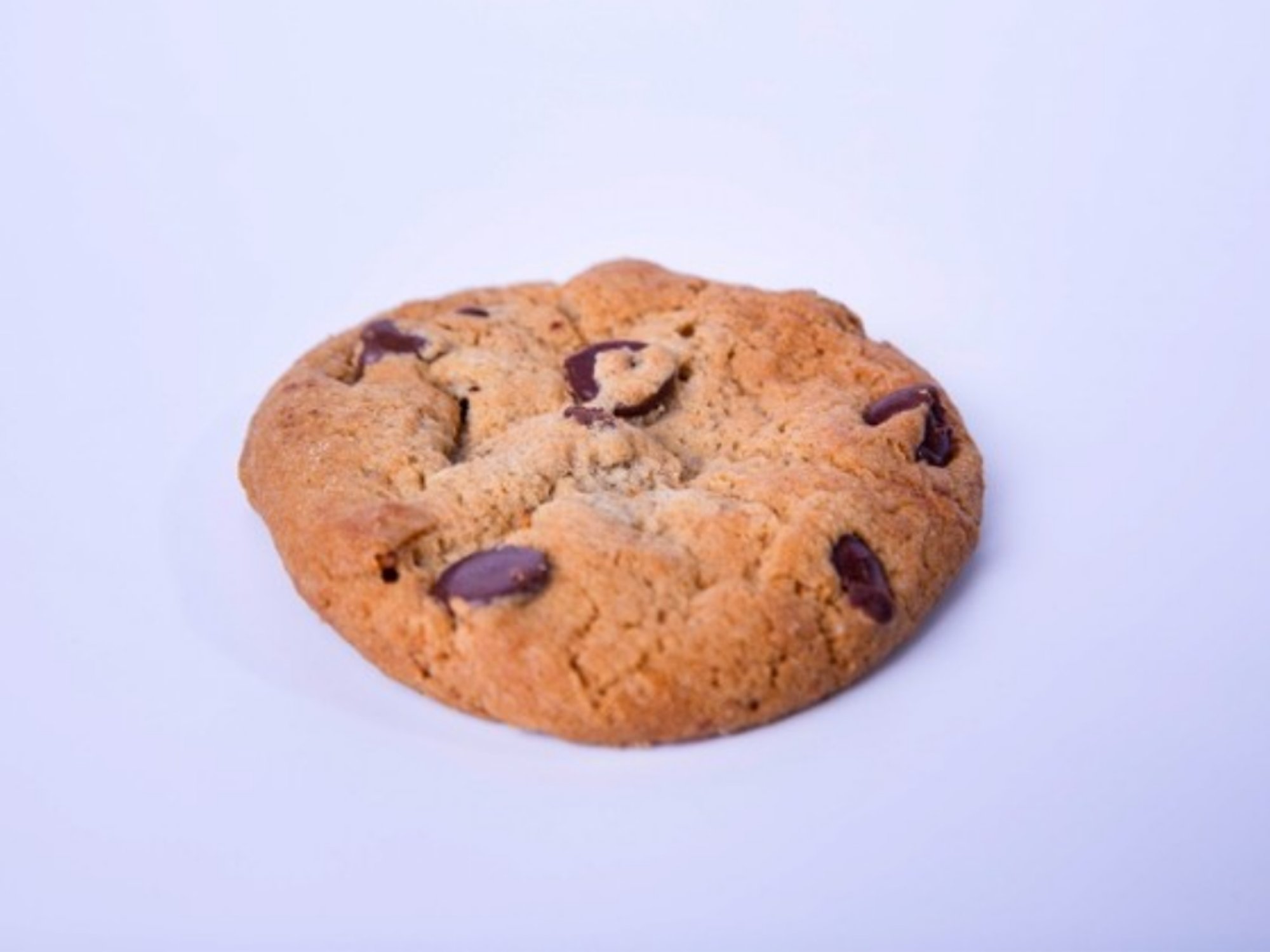 Chocolate Chip Cookie
