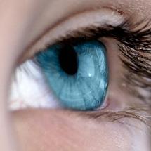 Eye Exams and Testing