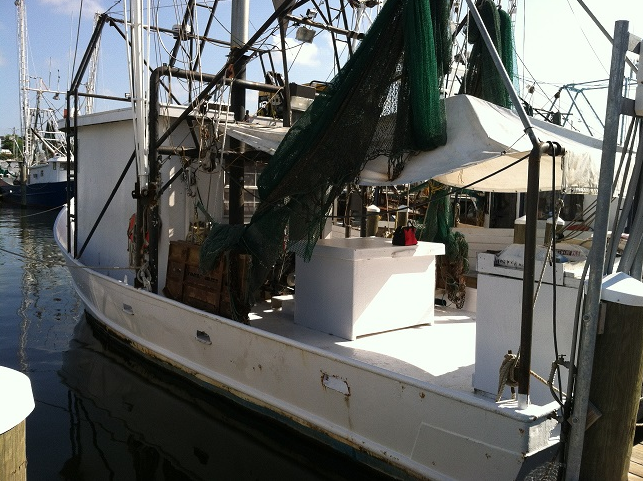 Gulf Coast Marine Survey LLC Photo