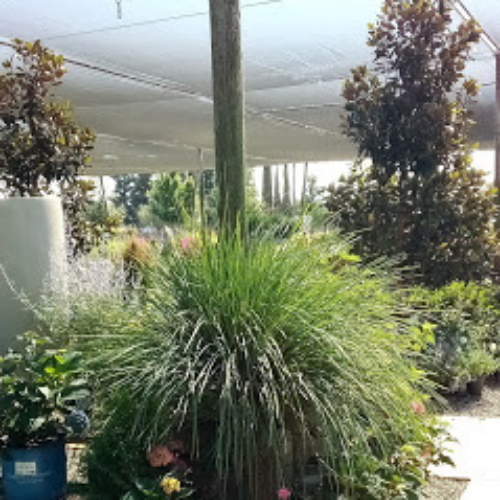 Frantz Wholesale Nursery, LLC, 12161 Delaware Road, Hickman, CA, Garden