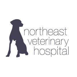 Northeast Veterinary Hospital Photo