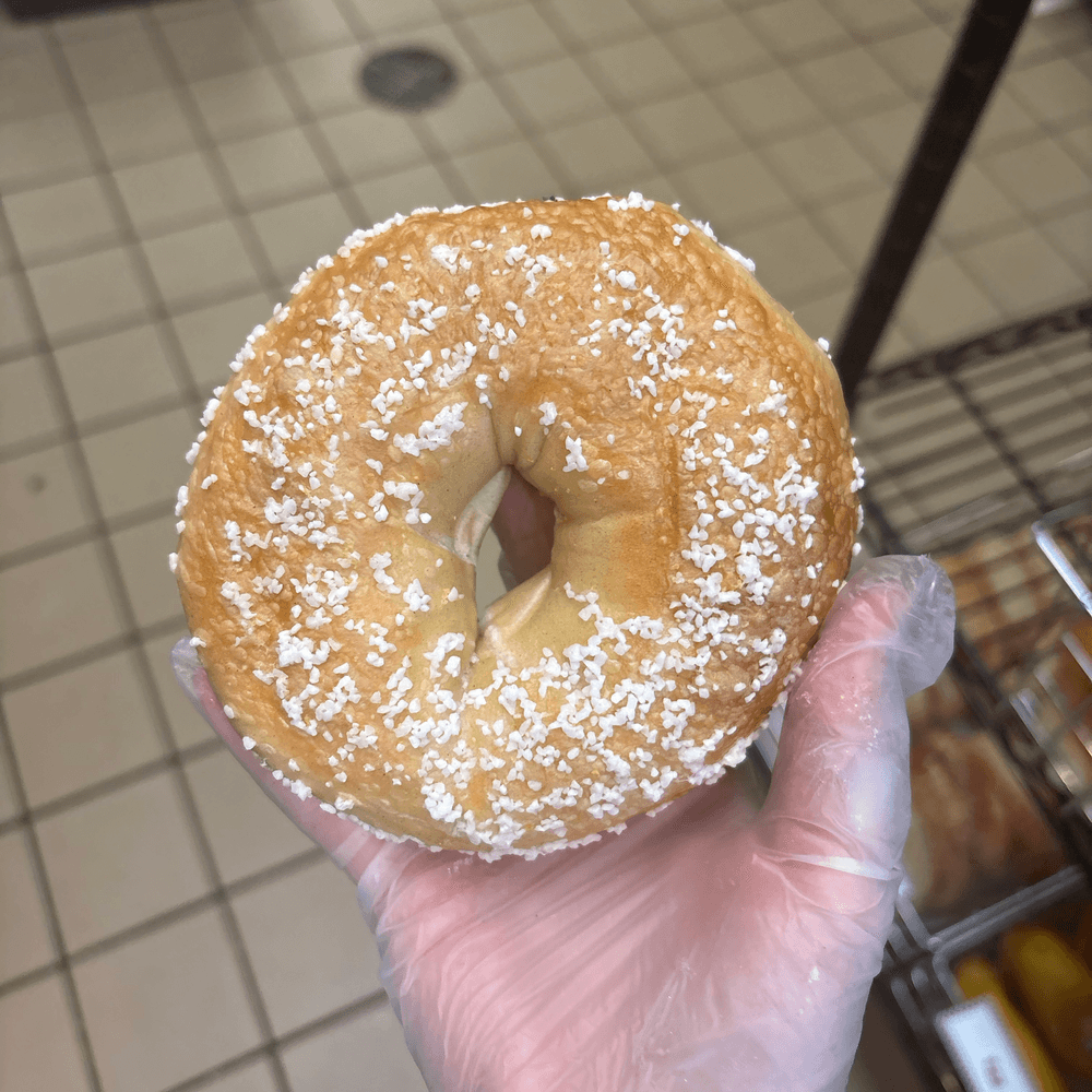 Salt Bagel