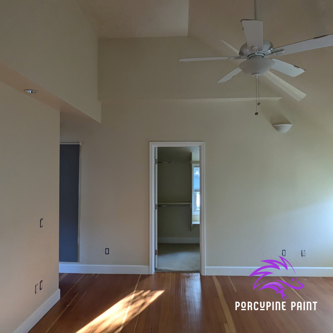 Porcupine Paint Image