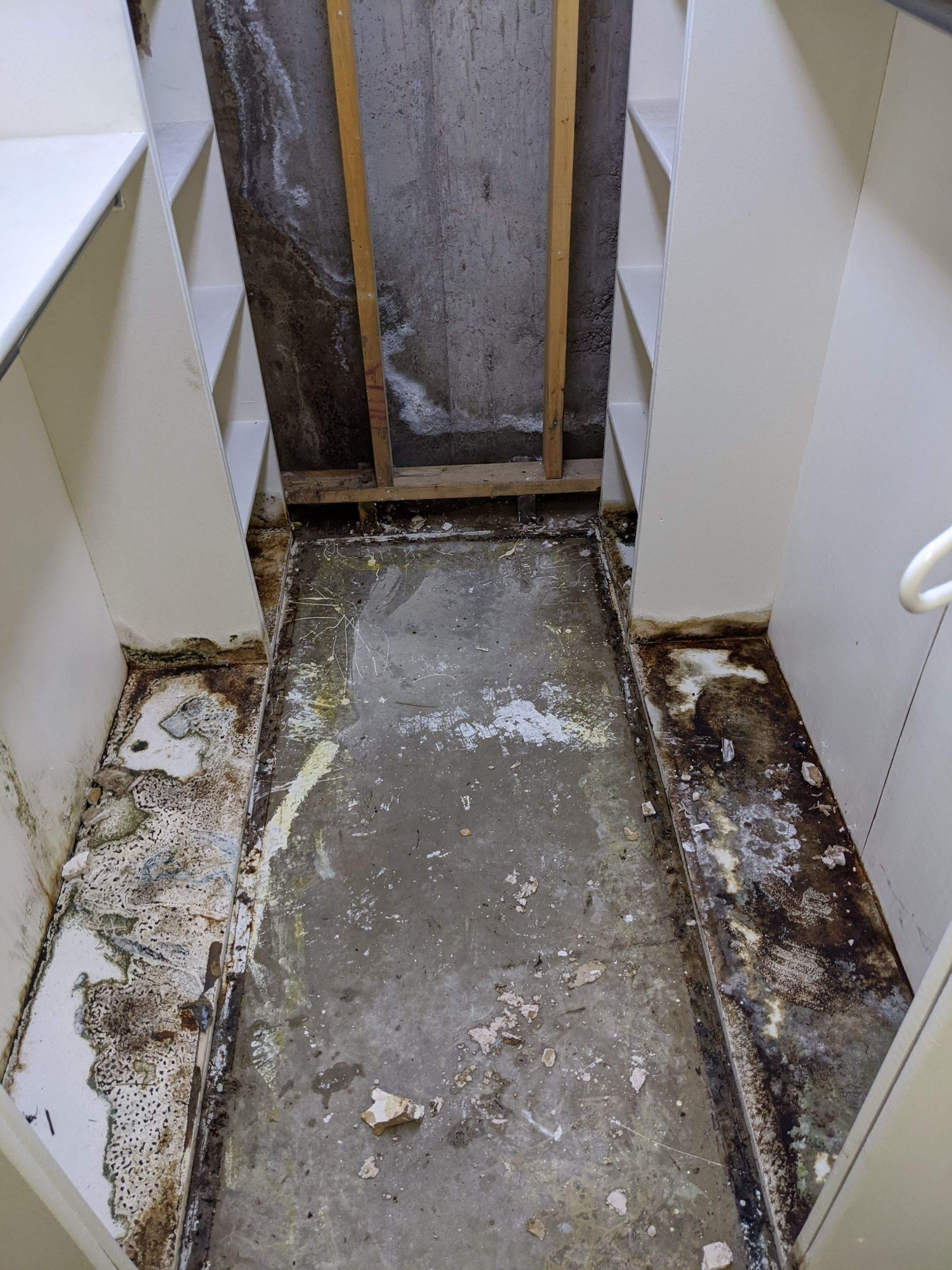 Anatom Restoration Image