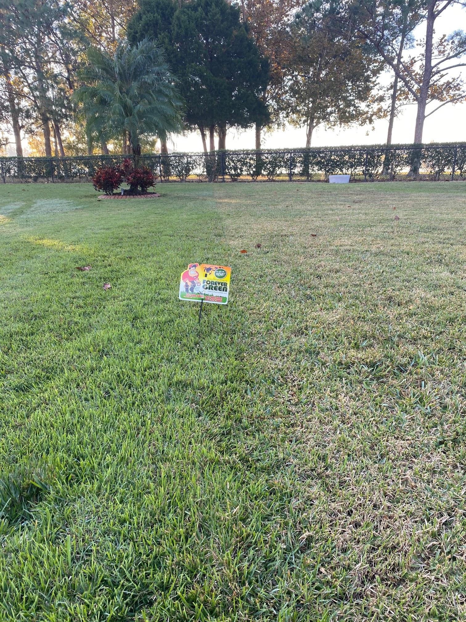 Forever Green Lawn and Pest Control Image