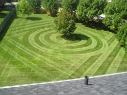Shine Landscaping, Maintenance & Tree Service Image