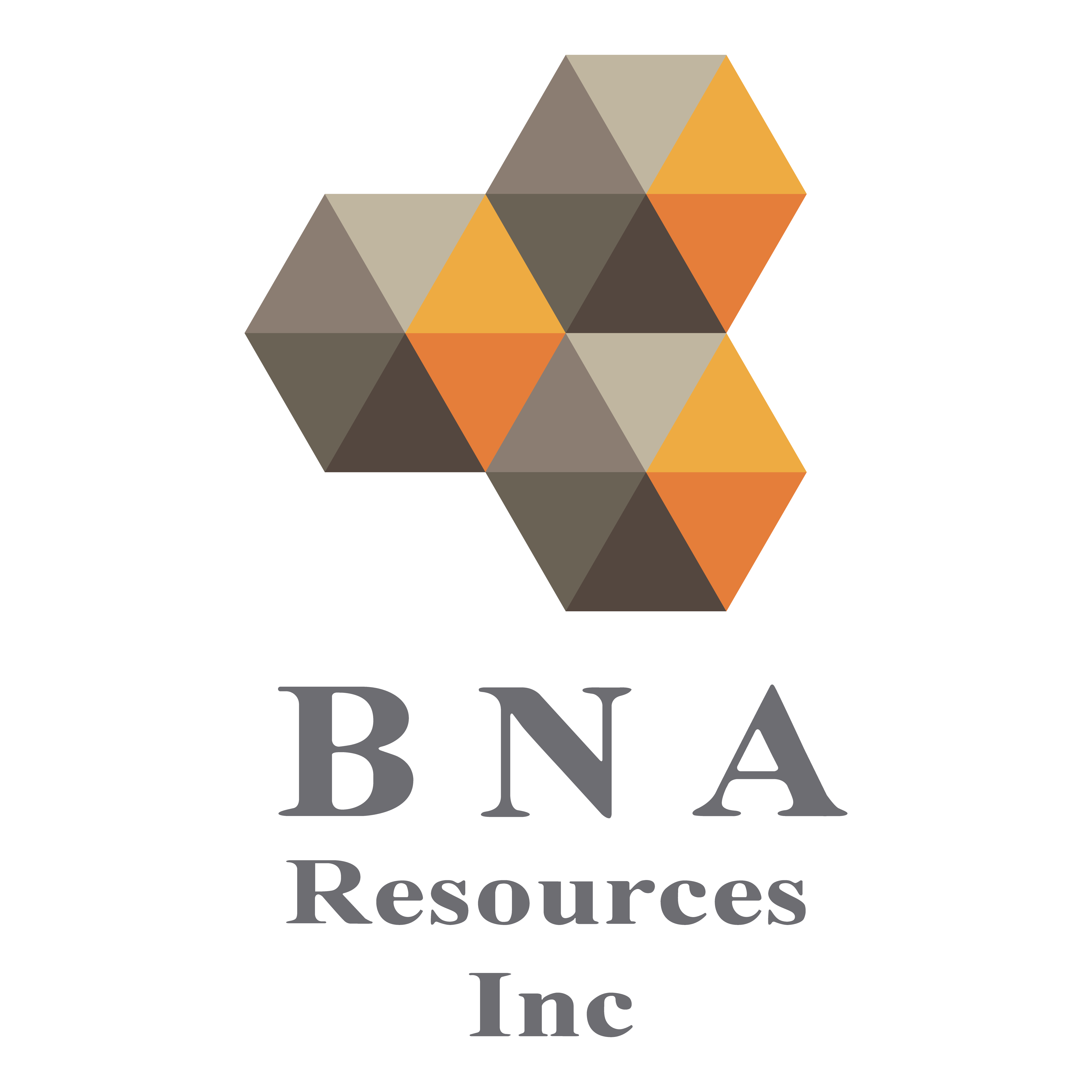 B N A Resources Inc - Network Cabling Services Logo