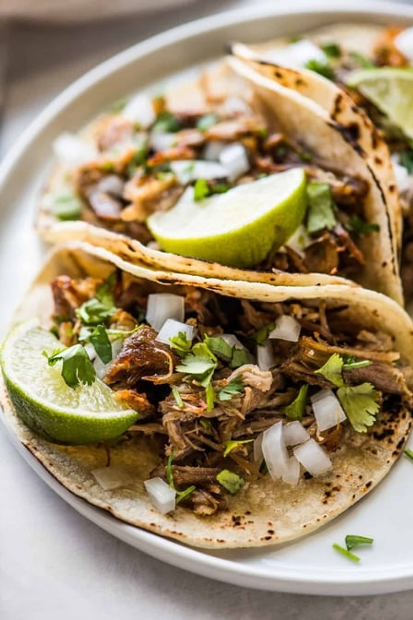 Taco De Carnitas (Roasted Pork)