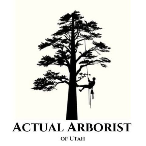 Actual Arborists of Utah