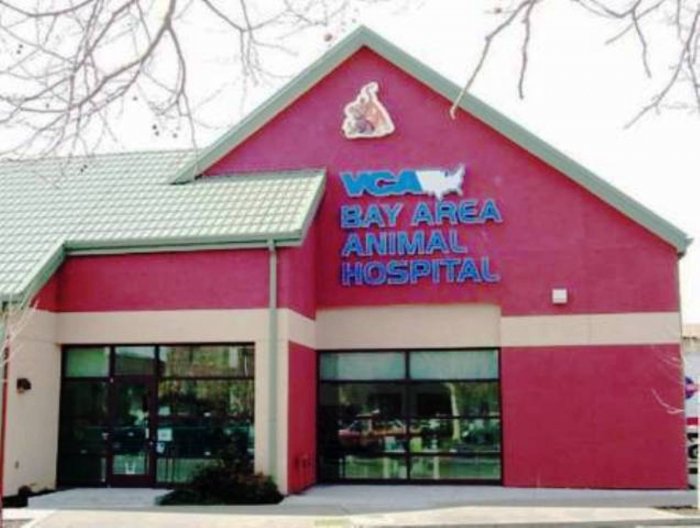 VCA Bay Area Animal Hospital Photo