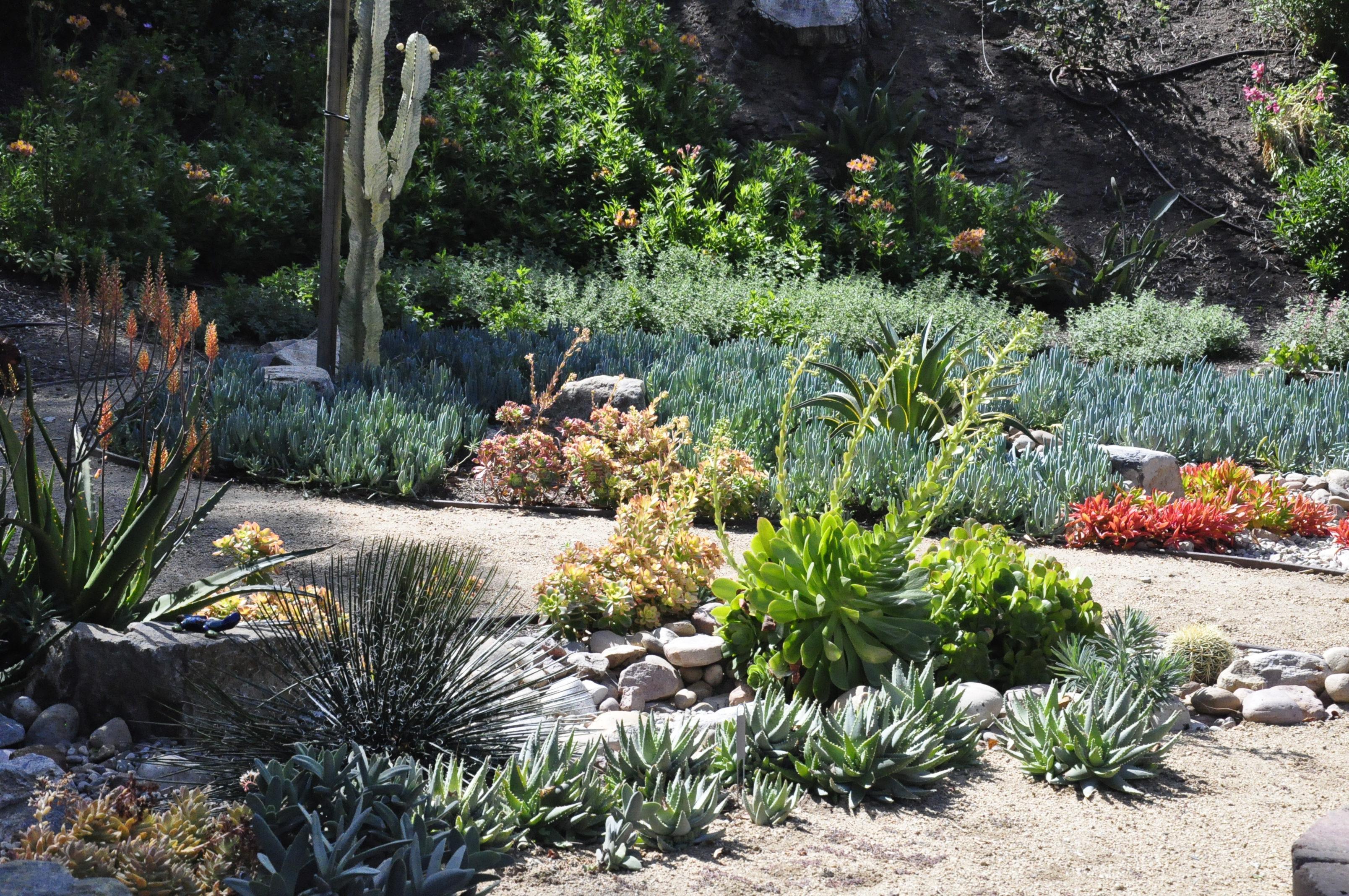 This water saving garden offers changes in flowers, light and foliage throughout every season