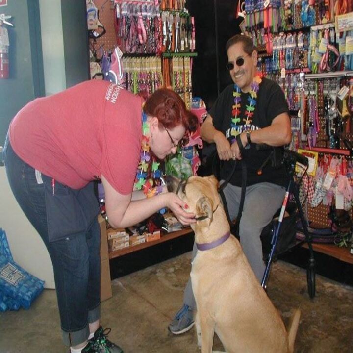 Pet Fun At Harden Ranch Plaza Image