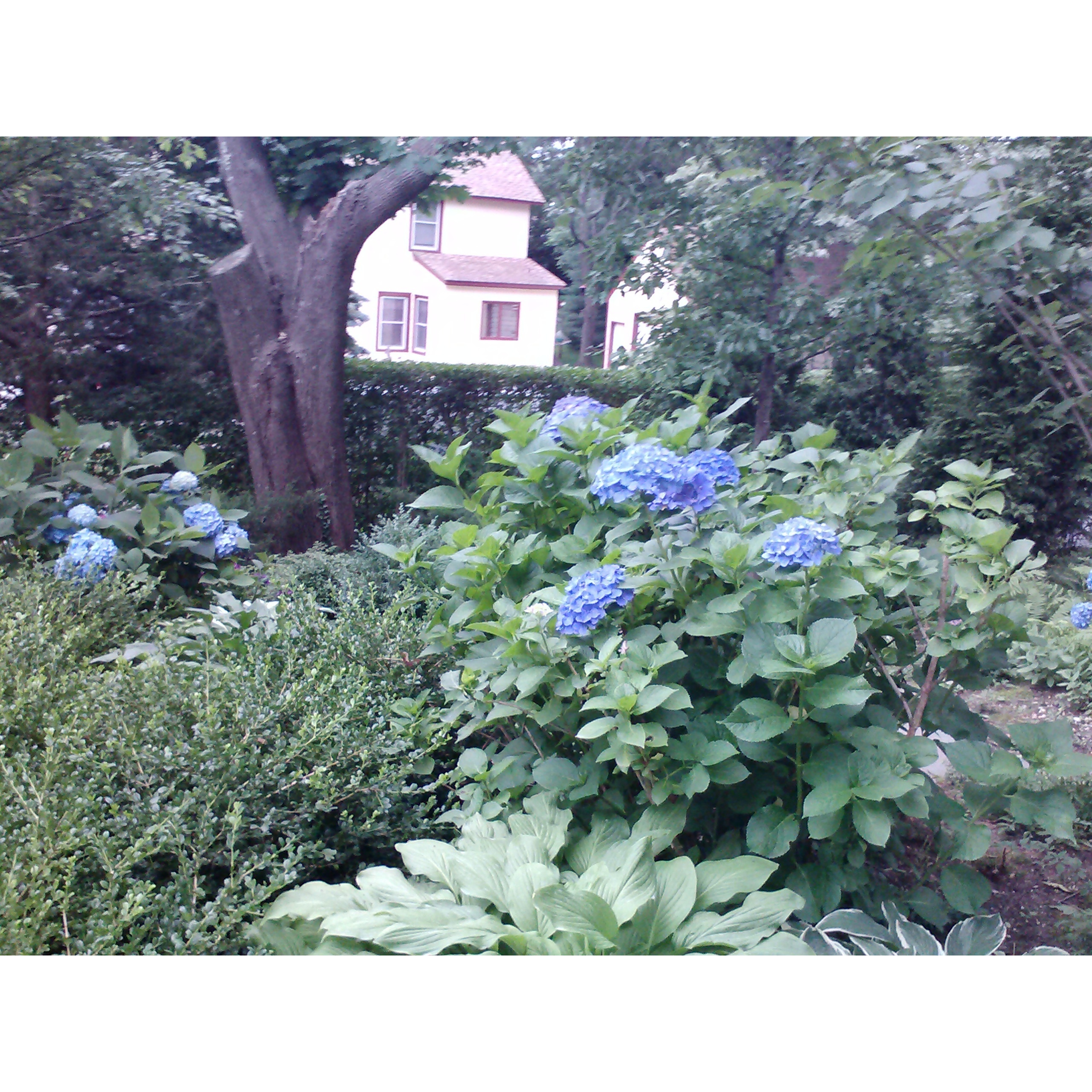 Planteriors Design  and  Amazing Earth inc Logo