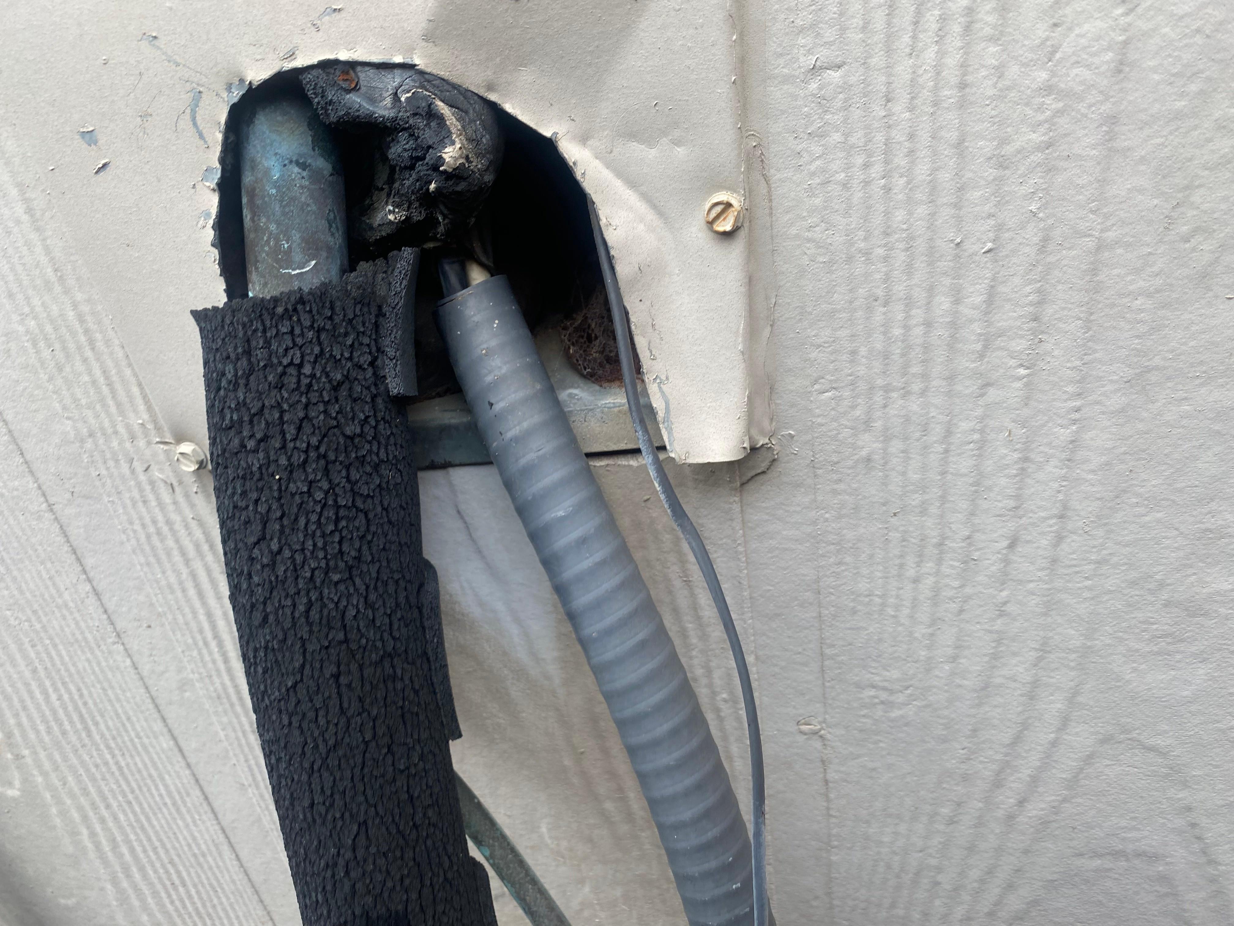 Expert Pest Control Image