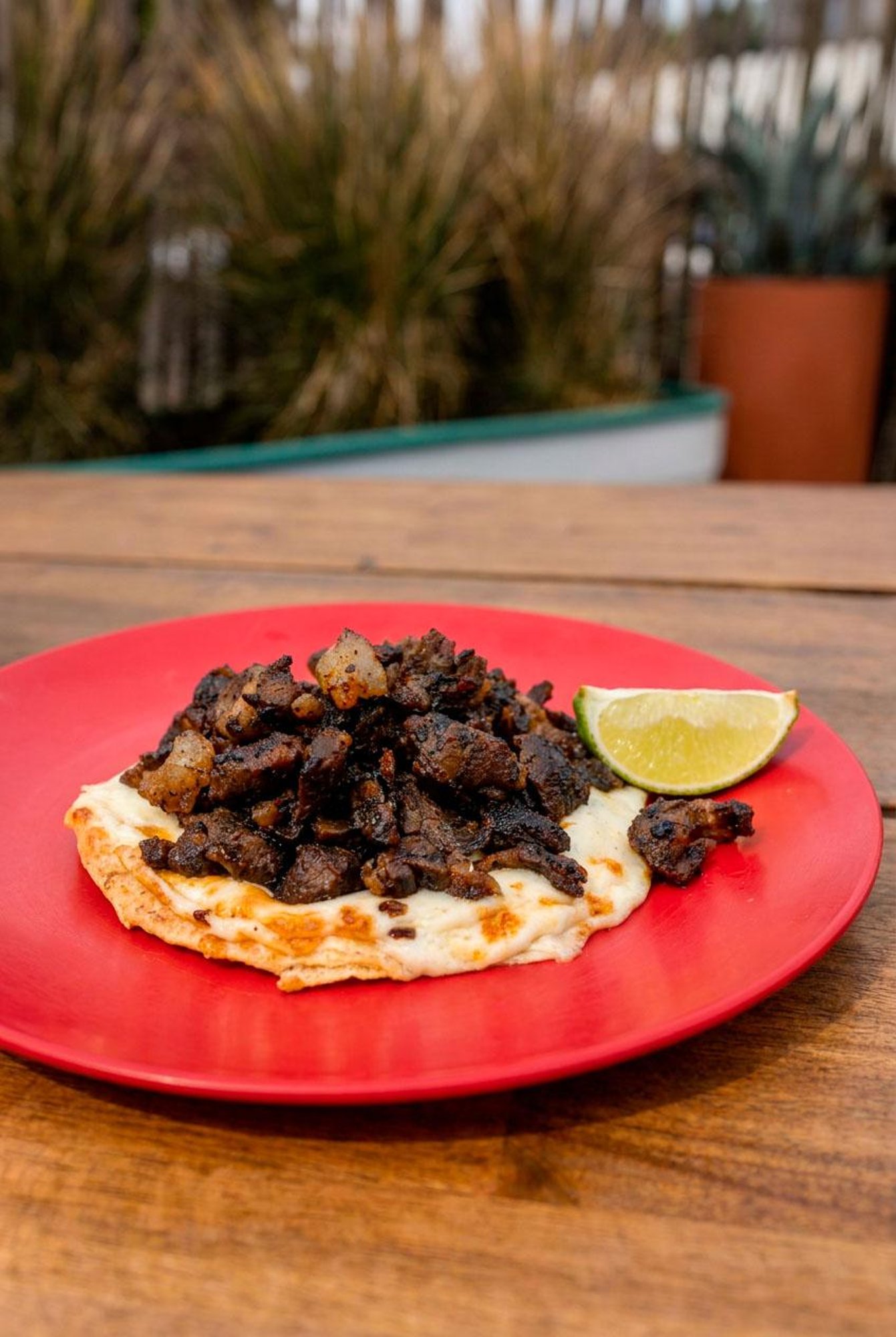 Shaved Beef Rib Tostada